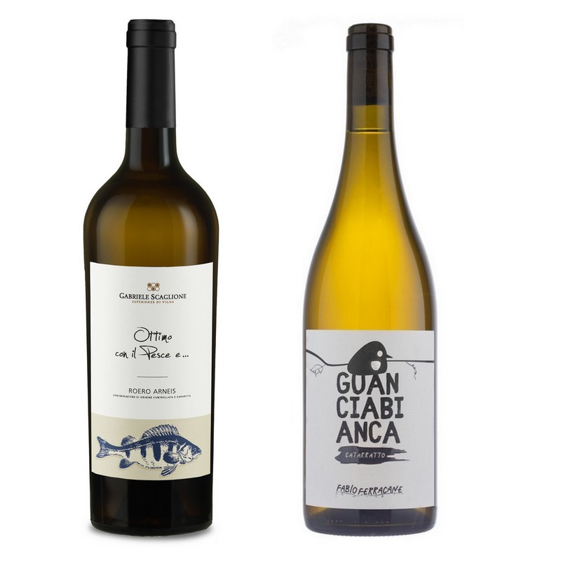 ottimo pesce + guanciabianca